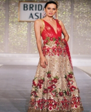 Falguni and Shane Peacock's Collection